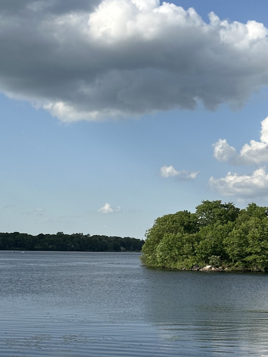 Cannolis Weymouth Photos 2